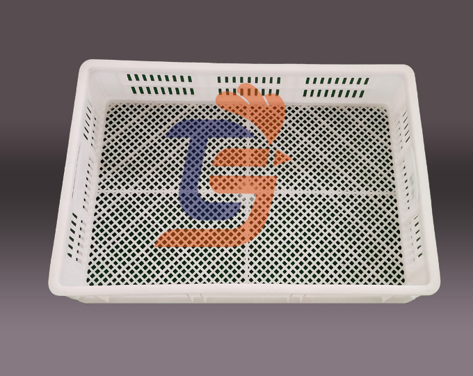 食品級(jí)塑料凍盤